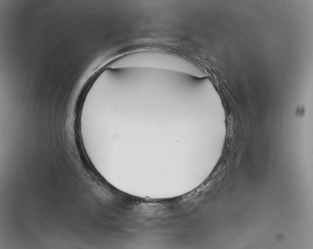 X0000116860150201001121248