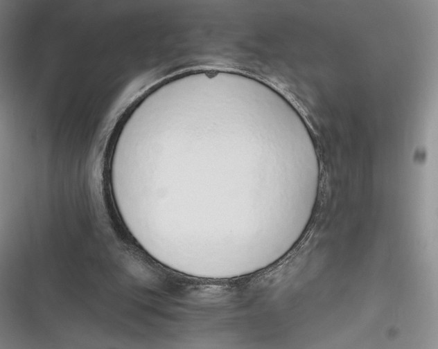 X0000116860151201001121248