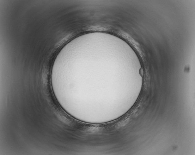 X0000116860153201001121248