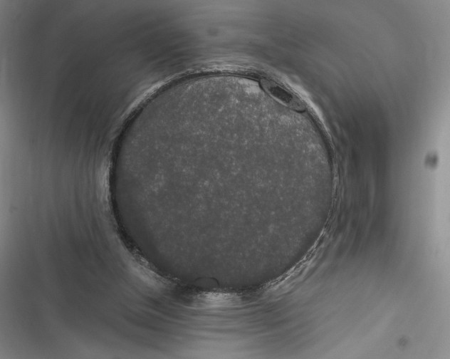 X0000116860154201001121248