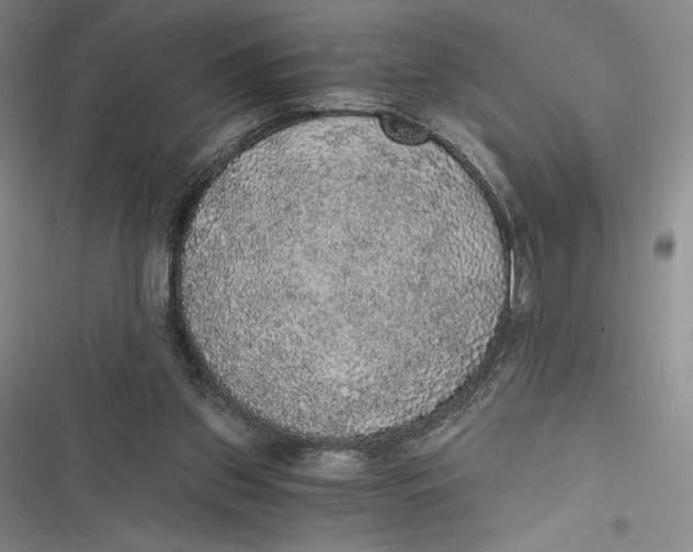 X0000116860157201001121248