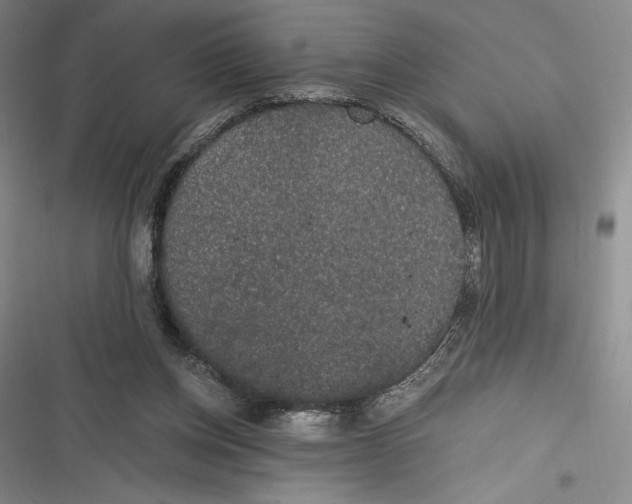 X0000116860158201001121248