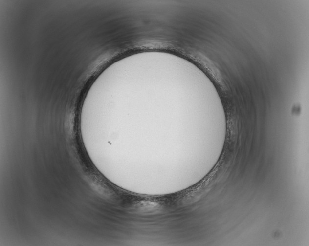 X0000116860159201001121248