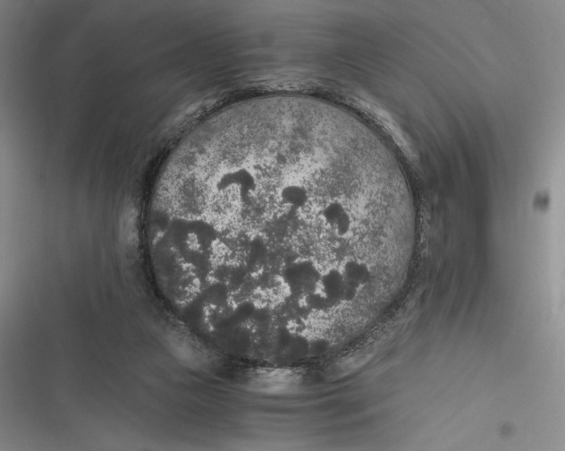 X0000116860161201001121248