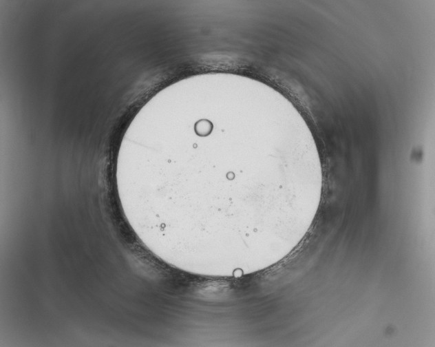 X0000116860162201001121248