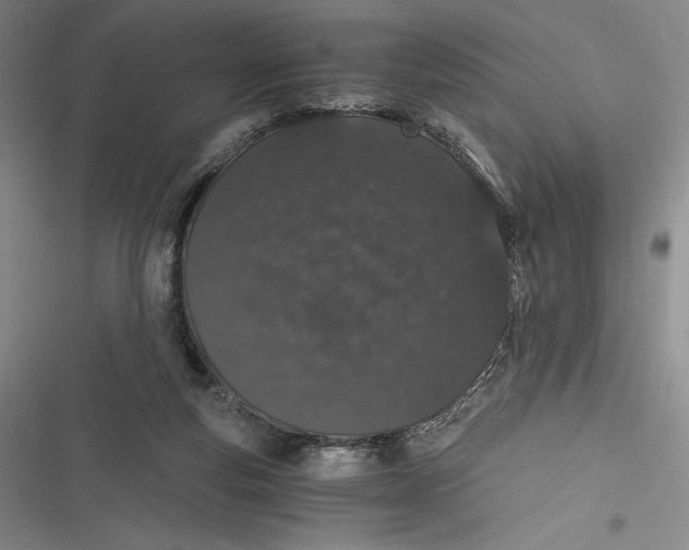 X0000116860163201001121248