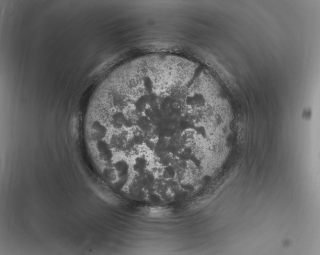 X0000116860165201001121248