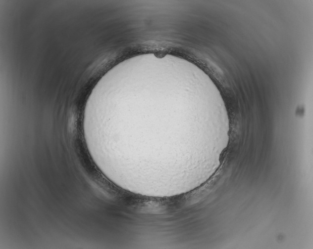 X0000116860166201001121248