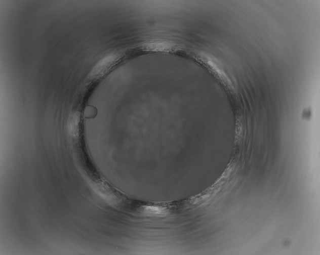 X0000116860167201001121248