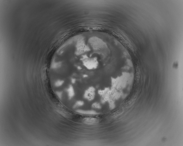 X0000116860169201001121248