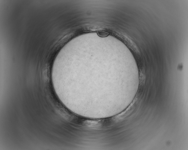 X0000116860170201001121248