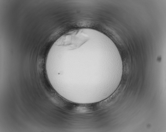 X0000116860171201001121248