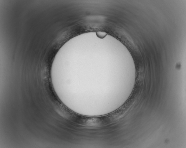 X0000116860173201001121248