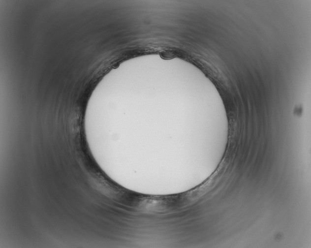 X0000116860174201001121248