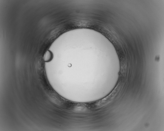 X0000116860175201001121248