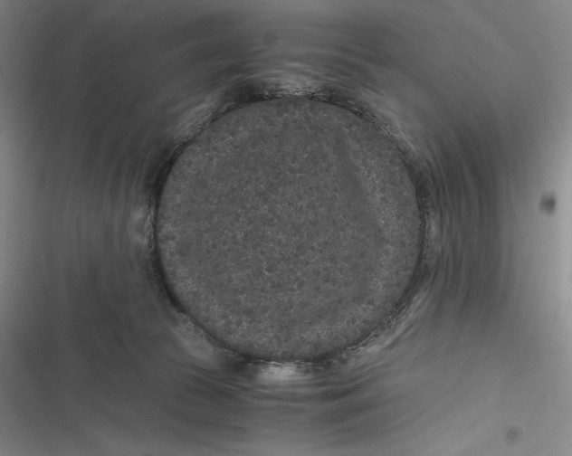 X0000116860177201001121248