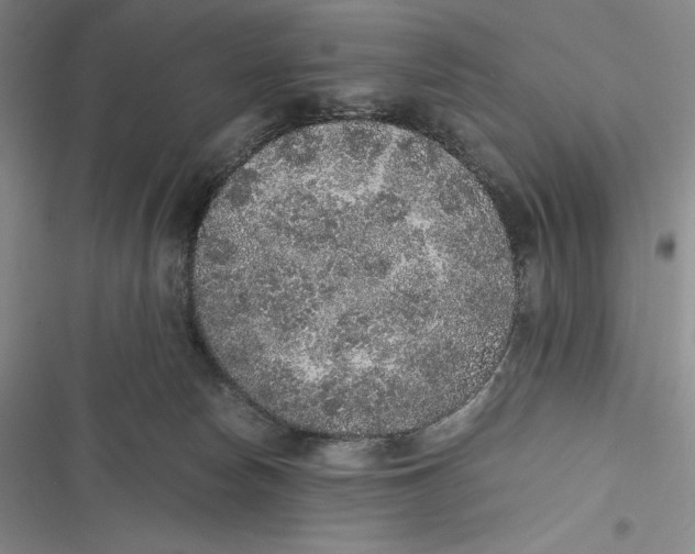 X0000116860178201001121248