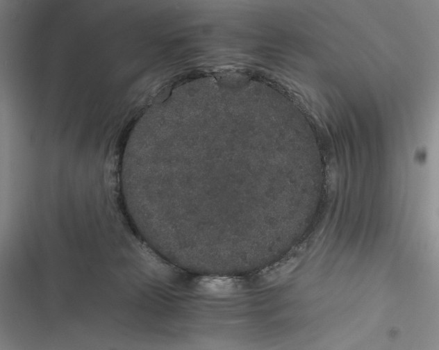 X0000116860181201001121248