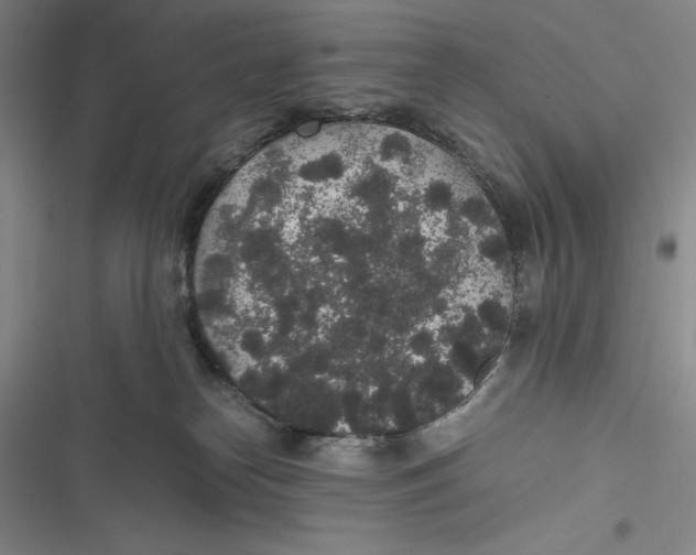 X0000116860182201001121248