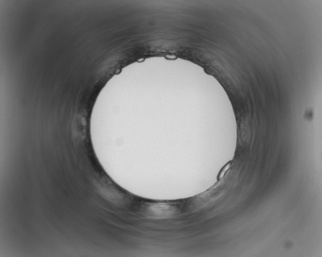 X0000116860183201001121248