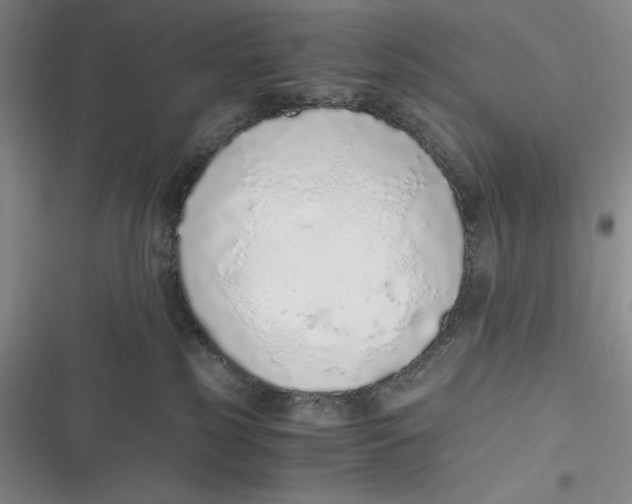 X0000116860185201001121248