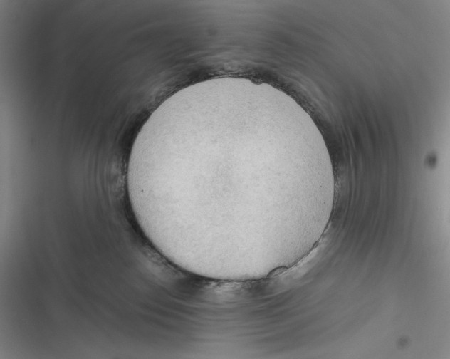 X0000116860186201001121248