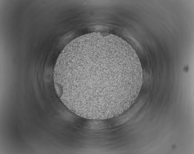 X0000116860189201001121248