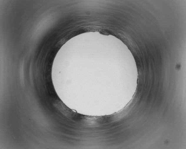 X0000116860190201001121248