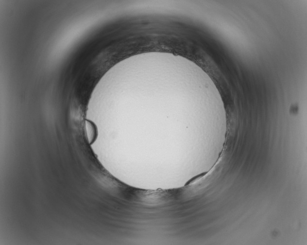 X0000116860191201001121248