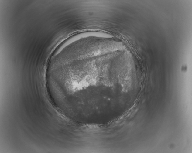 X0000116860194201001121248