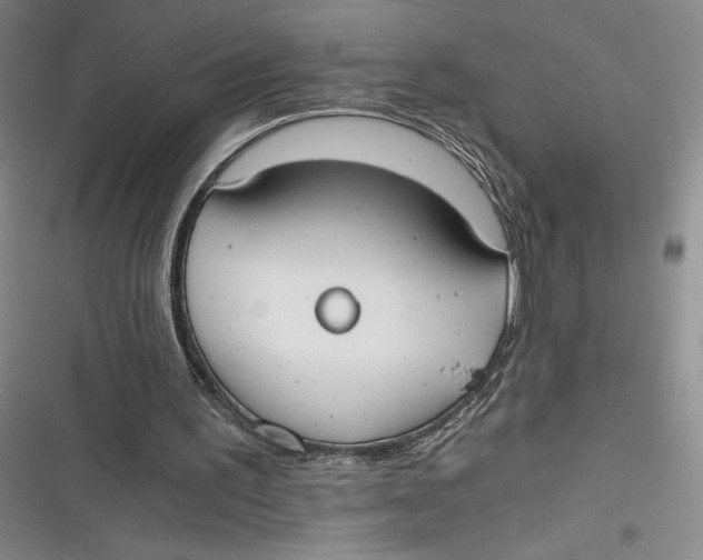 X0000116860195201001121248