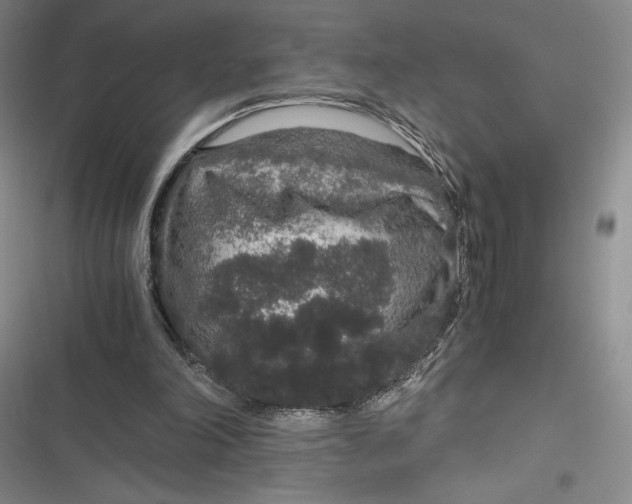 X0000116860198201001121248