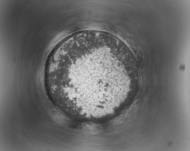 X0000116860199201001121248