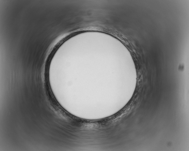 X0000116860200201001121248