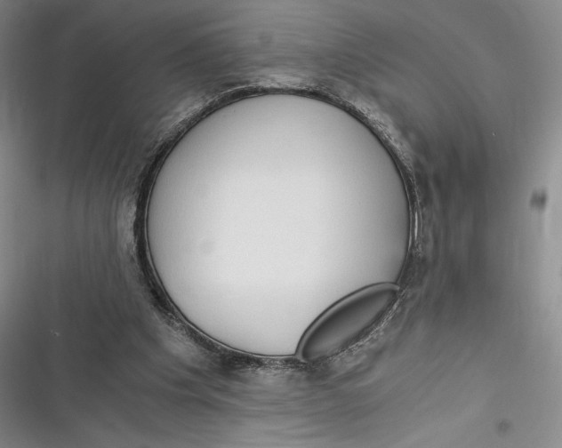 X0000116860201201001121248