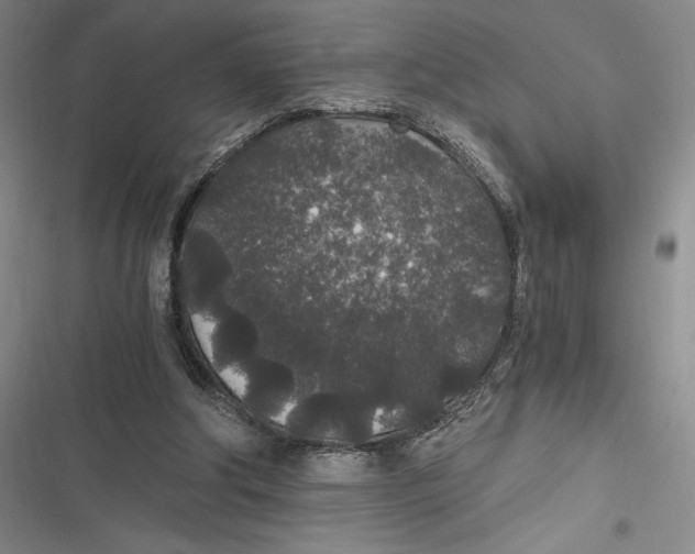 X0000116860202201001121248