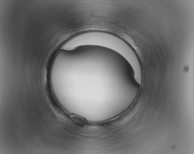 X0000116860205201001121248