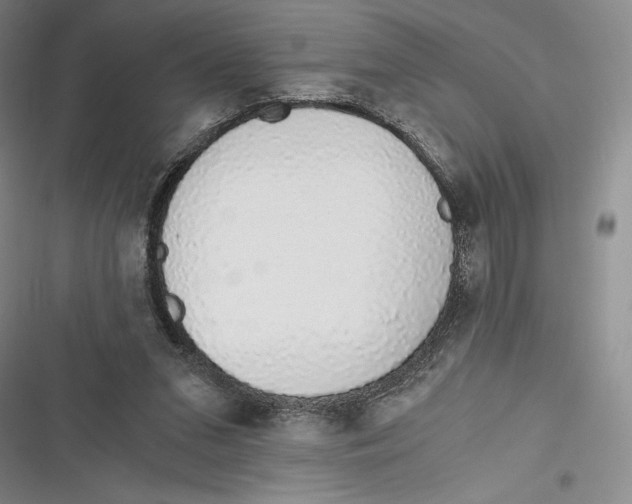 X0000116860207201001121248