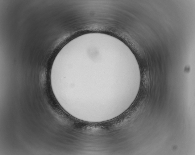 X0000116860208201001121248