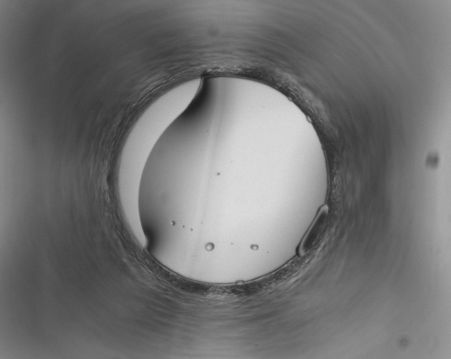 X0000116860209201001121247