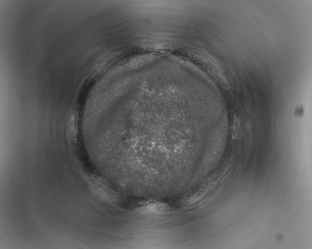 X0000116860210201001121247