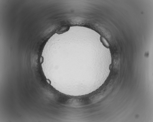 X0000116860211201001121247