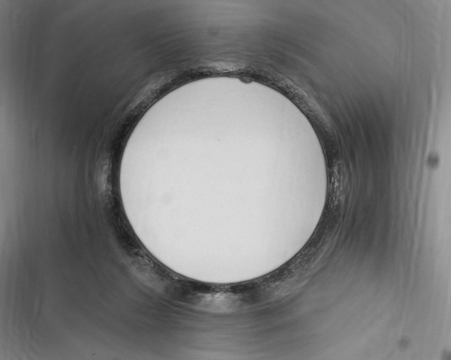 X0000116860212201001121247