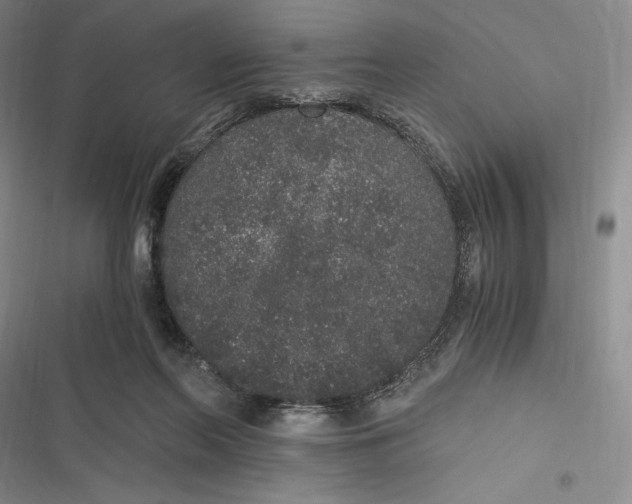 X0000116860214201001121247