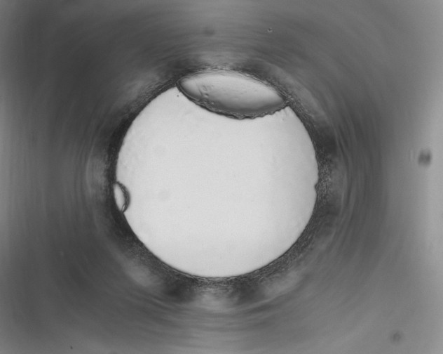 X0000116860215201001121247