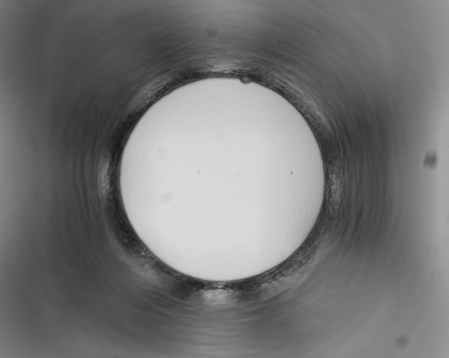 X0000116860216201001121247