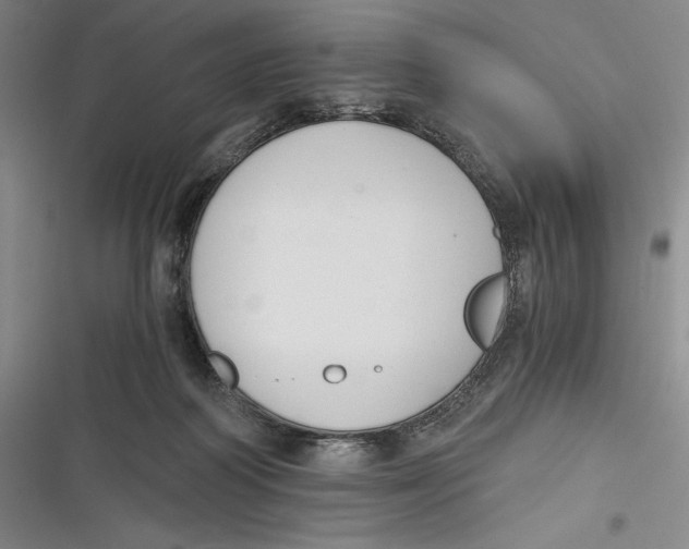 X0000116860218201001121247