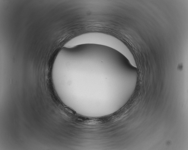 X0000116860219201001121247