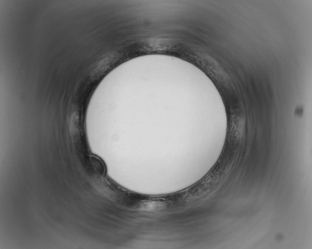 X0000116860220201001121247