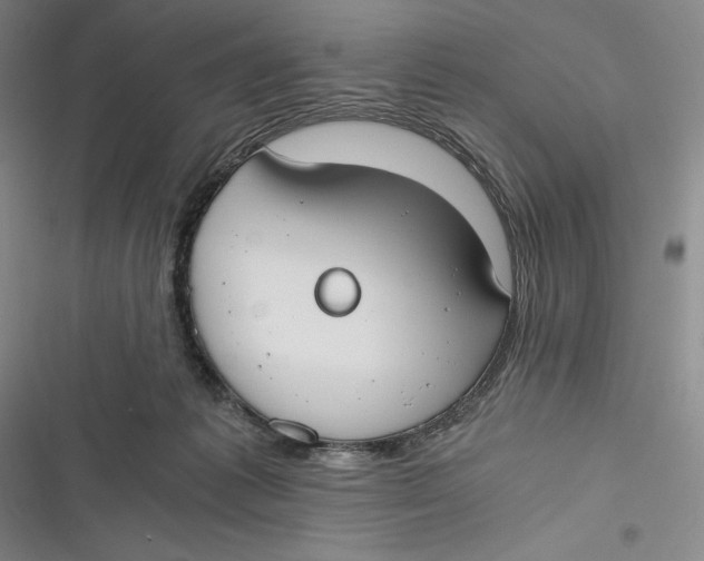 X0000116860221201001121247